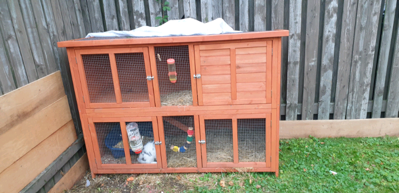 bunny hutch gumtree